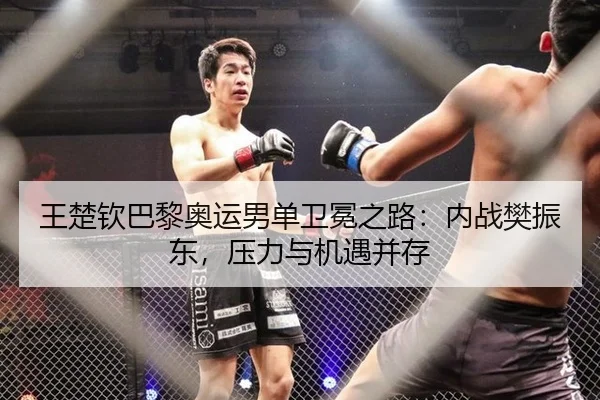 王楚钦巴黎奥运男单卫冕之路：内战樊振东，压力与机遇并存