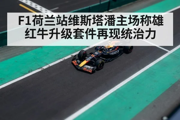 Max Verstappen Dutch Grand Prix