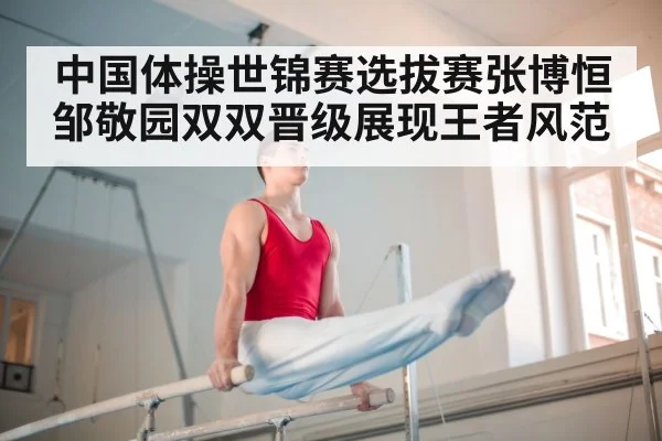 parallel bars gymnastics